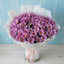 Букет цветов из:  Хризантемы в Дарасун