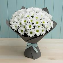 Букет цветов из:  Хризантемы #REPLACE_PRED# Дарасун