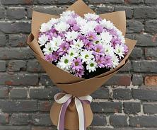 Букет цветов из:  Хризантемы #REPLACE_PRED# Дарасун