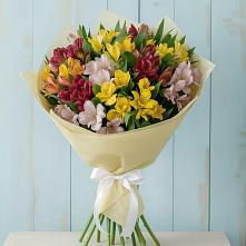 Букет цветов из:  Альстромерии в Дарасун