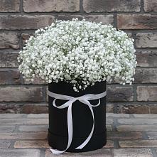 Композиция коробка гипсофил в Дарасун Цветочная композиция из Гипсофила в шляпной коробке в Дарасун