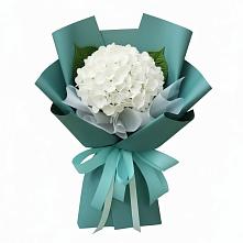 Букет цветов из:  Гортензия в Дарасун